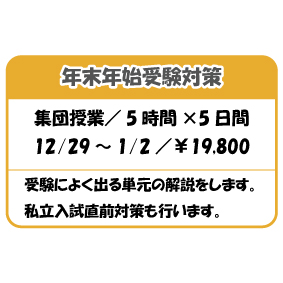 年末年始受験対策
集団授業/ 5 時間×5 日間
12/29 ~ 1/2 /¥19,800
受験によく出る単元の解説をします。
私立入試直前対策も行います。